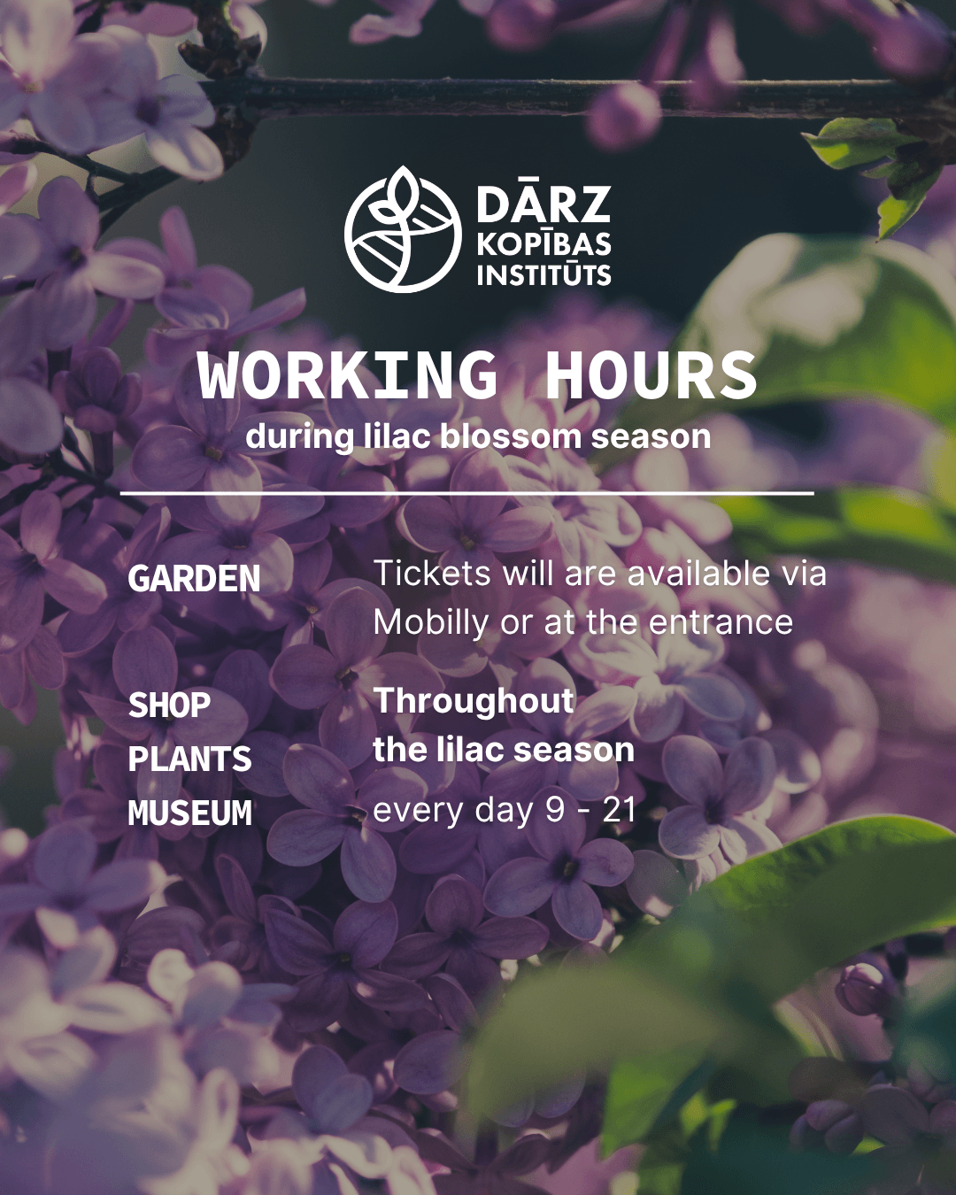 DI Working Hours