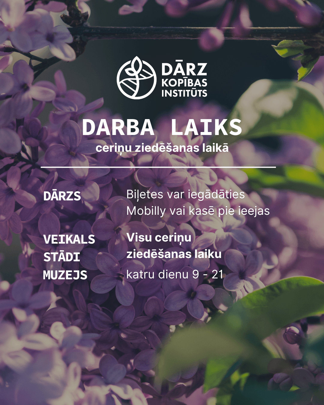 DI Darba laiks
