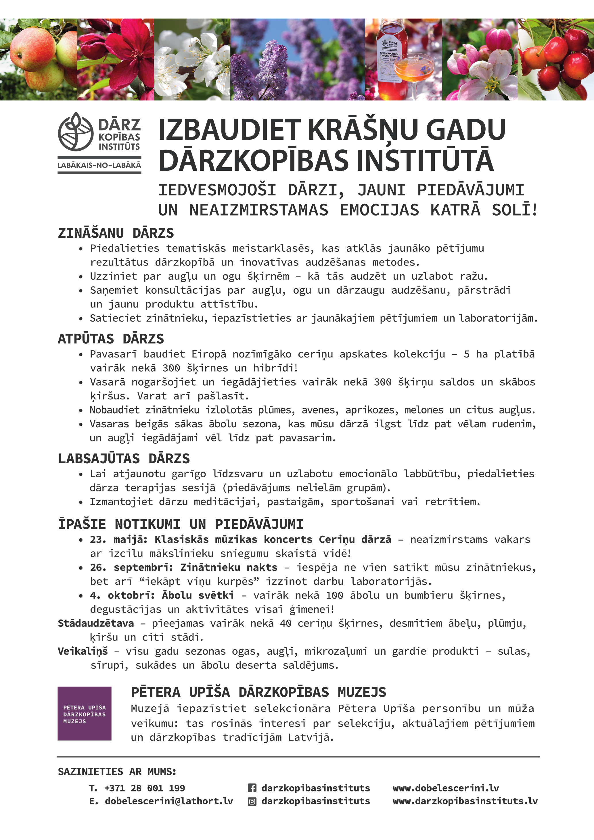 DI Info lapa