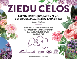 Dodies ziedu ceļos