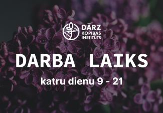 Darba laiks Ceriņu ziedēšanas laikā