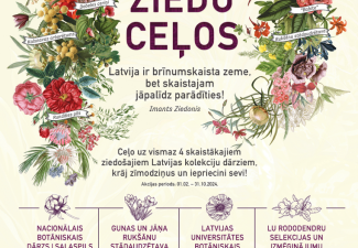 Ziedu celos 2024