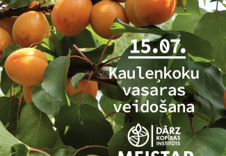 Kaulenkoku meistarklase