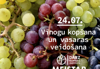 Vinogu meistarklase