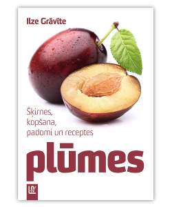 Plūmes