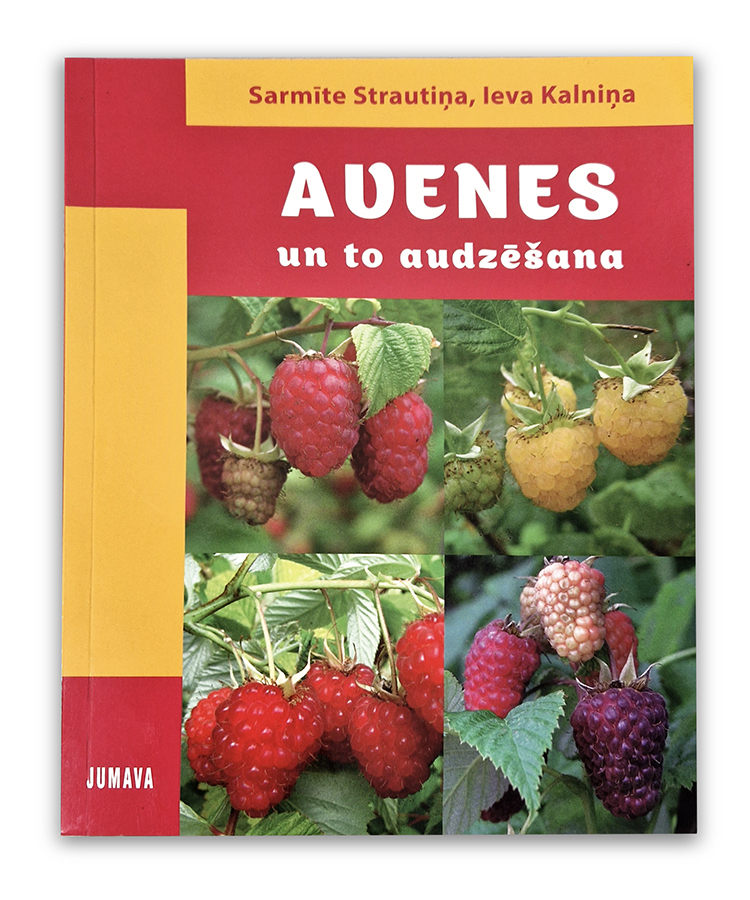 Gramata_avenes