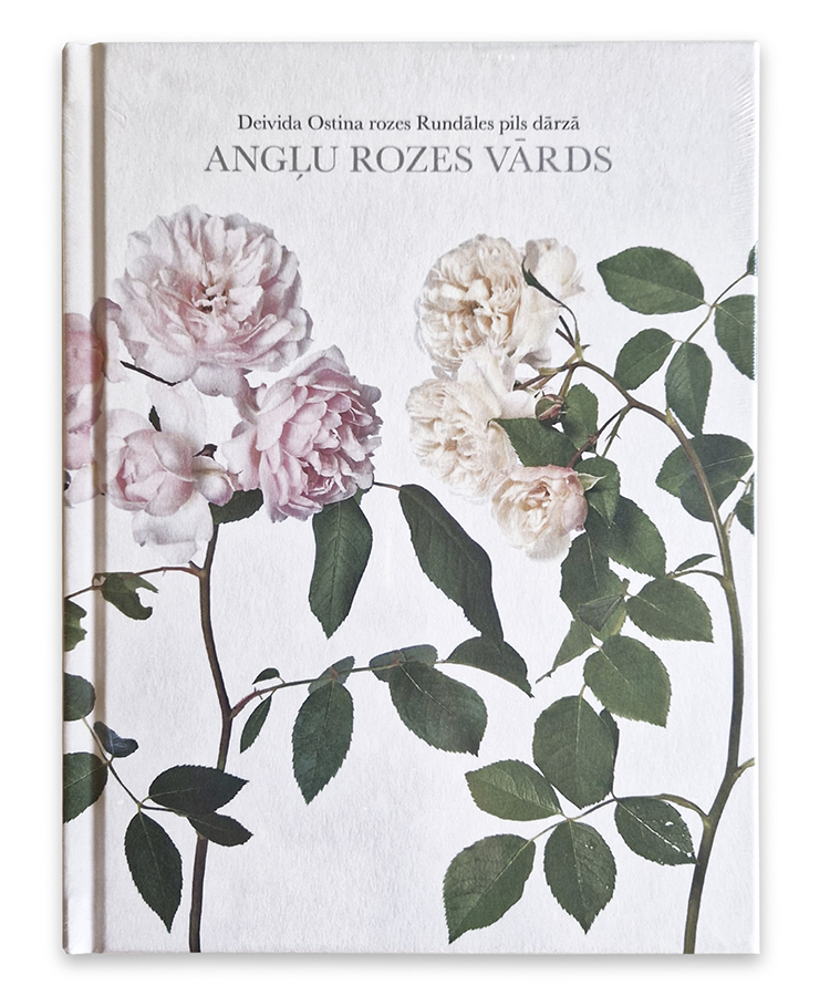 Anglu rozes vards