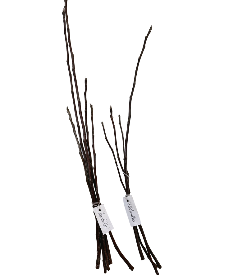 Potzari