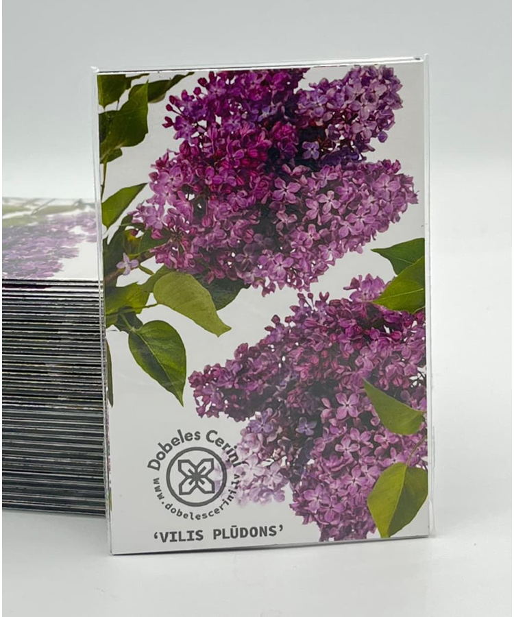Magnēts 'Vilis plūdonis'
